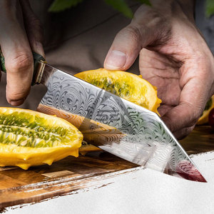 Juego de Cuchillos de Chef de Damasco de 67 Capas Hechos a Mano de Alto Rendimiento con Diseño de Última Generación y Mangos de Madera - Product Image 6