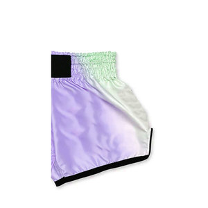 High Quality 100% <b>Polyester</b> Muay Thai Short Training Colorful Muay Thai Shorts Boxing MMA Shorts Gym Boxing Shorts For Boys - Product Image 2