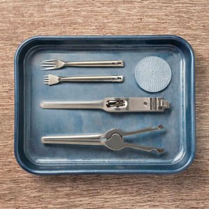 Ensemble d'instruments de précision Premium Dynamics pour greffe de cheveux, pinces à épiler manuelles 11,5 cm en acier inoxydable, outil d'épilation et de prélèvement, Classe I - Product Image 1