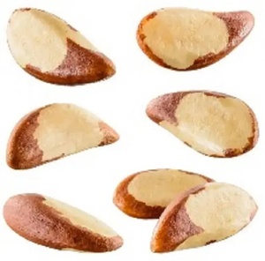Noix du Brésil Bio Séchées en Vrac Emballage Naturel Snack à Base de Noix Qualité Alimentaire Marque TZ879DTH Longue Durée de Conservation - Product Image 6