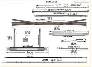Nouvelle bride de course pour chevaux en cuir rembourré, de haute qualité, souple, parfaitement ajustable, de luxe, à la mode, vente en gros - Product Image 6
