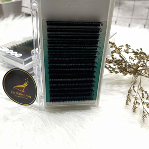 Extensions de cils individuels en plateau 12/16 lignes, fibres PBT coréennes de haute qualité, naturelles, longues, foncées, mates, marque privée, vente en gros - Product Image 4