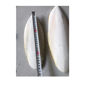 Suplemento de Calcio Natural de Calamar Seco para Aves, Favorece el Recorte del Pico y el Desarrollo de Huesos Fuertes - Product Image 4