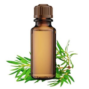 100% pur arbre à thé huile essentielle extrait naturel pour la peau cheveux Massage aromathérapie Spa et traitement de relaxation à vendre - Product Image 1
