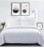 Parure de lit de luxe brodée en coton 100% pour hôtel, housse de couette et draps, vente en gros OEM/ODM de haute qualité
