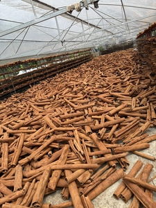 อบเชยแท่งเวียดนามพรีเมียม กลิ่นหอมธรรมชาติ คุณภาพเยี่ยม - Product Image 3