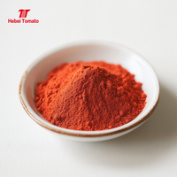 Poudre de tomate pure naturelle séchée par pulvérisation, sac de 25 kg, assaisonnement de tomate déshydratée, ketchup, pour la fabrication de pizzas, Halal, en vrac, usine Hebei Chine