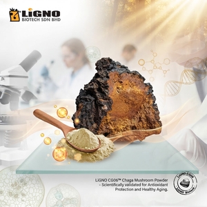 ผงสกัดเห็ดชากา LiGNO CG06 |   สารอาหารเสริมภูมิคุ้มกันแบบฟูลสเปกตรัม สารต้านอนุมูลอิสระ วัตถุดิบเกรดอาหารเพื่อสุขภาพ ออร์แกนิก - Product Image 1