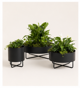 Jardinière moderne en métal noir avec support, ensemble de pots de fleurs en fer thermolaqué de luxe, support de plantes minimaliste pour intérieur et extérieur - Product Image 3