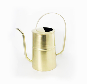 Arrosoir à long bec fin, accessoires de jardinage décoratifs, arrosoir en fer pour plantes - Product Image 1