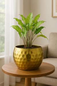 Maceta Irrompible Hecha a Mano con Acabado de Latón, Decoración para Interiores y Exteriores, Diseño Ecológico y Duradero - Product Image 4