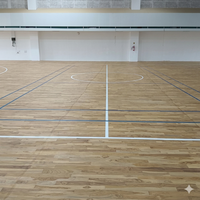 Revêtement de sol en bois pour terrain de basket Sundek Air Cush, antidérapant, en bois d'érable, écologique, absorption des chocs, pour usage intérieur