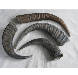 Cuernos de Búfalo Decorativos Negros, Piezas de Cuerno Natural Talladas a Mano, Artesanía Ecológica, Decoración - Product Image 4