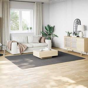 Alfombra Rectangular Grande de Poliéster 100% Color Antracita, Alfombras y Conjuntos de Alfombras Grandes Nuevos - Product Image 1