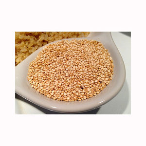 Wholesale Bulk Fresh White Quinoa Rich Premium Quality Stock For Large Volume B2B Trade Orders - Product Image 4