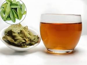 Mejor Precio, Hojas de Guayaba 100% Naturales, Secadas a Máquina, Hoja Entera, Secadas al Sol, Precio Directo de Fábrica, Empacadas en Caja de Cartón, Vietnamitas - Product Image 1