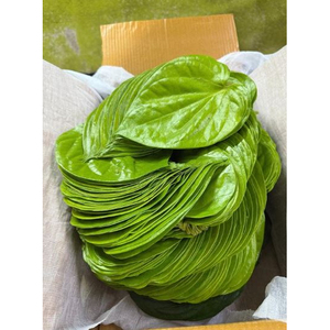 ปลากัดที่ปลูกตามธรรมชาติคุณภาพสูงการเตรียม paan ในภูมิภาค - Product Image 1