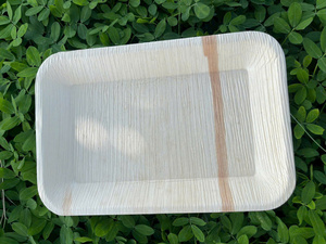 Assiettes jetables en feuilles de palmier Areca de Pangreen Global Corporation, 100% compostables, biodégradables, respectueuses de l'environnement - Product Image 3
