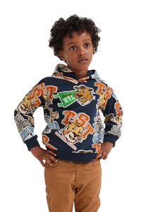 OEM ODM personnalisé enfants pull-over d'hiver chaud coloré solide à manches longues sweat à capuche en coton pour garçons filles enfants groupe d'âge - Product Image 4