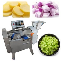 Economic Practical Vegetable Slicer Mandoline Commercial Cutter Vegetables Industrial Potato Cutter