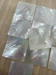 Éclats de nacre polie pour l'artisanat et la production d'ornements - Product Image 2