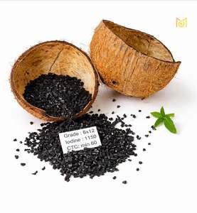 Carbón Activado de Cáscara de Coco con Alto CTC para Aplicaciones de Minería y Recuperación de Oro - Product Image 1