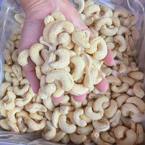 Oferta Especial 2023: Nueces de Anacardo Crudas WW180, WW240, WW320, Nueces de Anacardo LP WW180 Listas para Enviar - Product Image 1