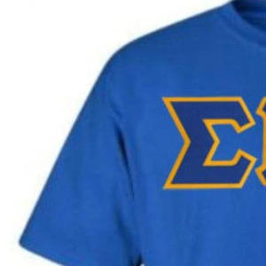 Camiseta Personalizada Sigma Gamma Rho para Mujer, Camiseta de Sororidad Griega, Manga Corta, Cuello Redondo, Algodón Informal, Logotipo Personalizado, Ropa Urbana al por Mayor - Product Image 5