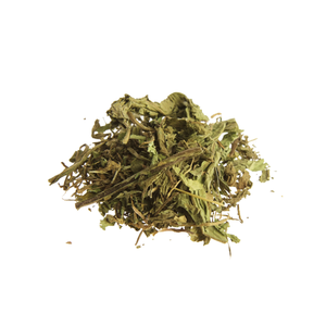Milk Thistle Tea Bags OEM and ODM <b>Solutions</b> - Product Image 3