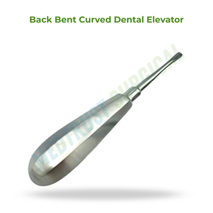 Élévateur dentaire manuel incurvé en acier inoxydable, 5 mm, taille standard, instrument chirurgical dentaire à découpe oscillante - Product Image 2