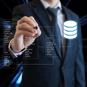 Services d'architecture de base de données relationnelle et solutions de traitement de données haute performance pour les systèmes d'entreprise évoluables - Product Image 6