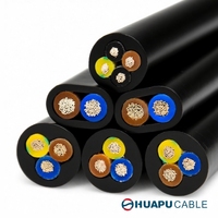 Cable Eléctrico de PVC Resistente al Fuego NH-RVV, Núcleo de Cobre, 2/3/4 Núcleos, Tamaño Personalizable, 20A 300/300V, Bajo Voltaje