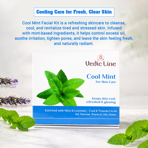 Kit Facial Herbal de Menta Refrescante de Primera Calidad para la Curación de la Piel, Anti-Imperfecciones y Reparación del Acné, Disponible a un Precio Accesible - Product Image 2