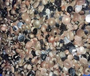 Botones de Cuerno de Búfalo, Botones de Cuerno de Vaca, Botones de Cuerno de Buey, en Bruto, Técnica Real, Color Número 09/10, de f s international agate - Product Image 2