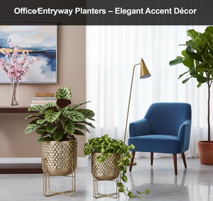 Juego de 2 Macetas de Hierro Pulido Dorado con Soporte, Acabado Pulido, Macetas Modernas y Elegantes para Uso en Interiores o Exteriores - Product Image 5