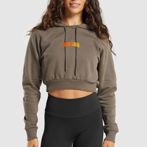Sudadera Casual con Capucha para Mujer, Estilo Regular, para Primavera, Invierno y Otoño, Tejido de Punto, Diseño Moderno, Logotipo Frontal, Impermeable, Suministro ODM - Product Image 1
