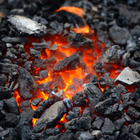 Produit charbon de bois Offre Spéciale de tamarin pour griller la viande barbecue dans un restaurant ou un restaurant avec niveau de feu élevé pour la cuisson rapide des aliments