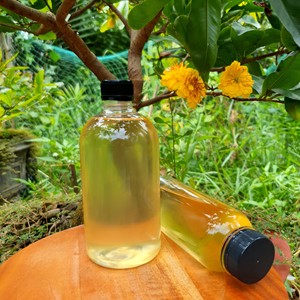 ACEITE DE COCO VIRGEN DE LA MEJOR CALIDAD, ESTÁNDAR DE EXPORTACIÓN - Product Image 5