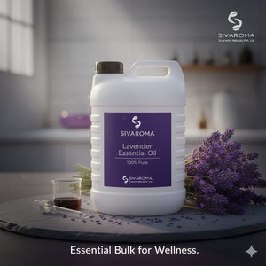 Huile Essentielle de Lavande Pure en Gros, Meilleure Vente, pour Tous Types de Peau, Beauté et Soins de la Peau - Product Image 3