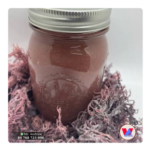 PRODUIT PHARE : Sac de 5 kg d'algues violettes séchées (Eucheuma Cottonii) brutes pour l'extraction alimentaire, les gommes et le B2B - Product Image 1