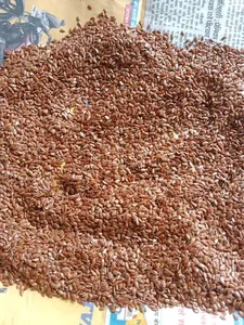 เมล็ดแฟลกซ์ ชื่อทางพฤกษศาสตร์คือ Linum Usitatissimum - Product Image 4