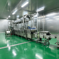 Machine industrielle automatique pour la friture de steaks de poulet enrobés, production personnalisable, traitement de la viande et de la friture en profondeur