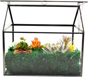 Pot de fleurs géométrique noir pour plantes succulentes, plantes aériennes, mousse – Décoration botanique estivale pour la maison, le jardin, le bureau, les mariages – Cadeau pour les amateurs de plantes - Product Image 6