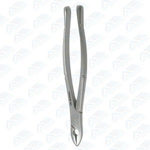 Fórceps de extracción para equipos dentales CE de acero inoxidable Premium de extracción de dientes de incisivo superior estándar anterior Superior - Product Image 5
