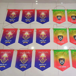 Bandera Personalizada Tipo Pennant, Estilo Publicitario, Impresión por Sublimación a Todo Color, para Mostrar el Espíritu Escolar - Product Image 1