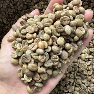 Granos de café verde Robusta y Arábica puros de Vietnam al por mayor, completamente lavados (pulidos en húmedo), calidad especial, tamaño 16–20 - Product Image 2