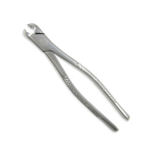 Forceps d'extraction dentaire en acier inoxydable autoclavable pour la chirurgie buccale et le traitement dentaire - Product Image 3