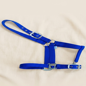 Wholesale Supply Nylon Horse Halter Comfortable Strong Adjustable Headcollar Durable Training Halter Bulk Riding <b>Equestrian</b> - Product Image 1