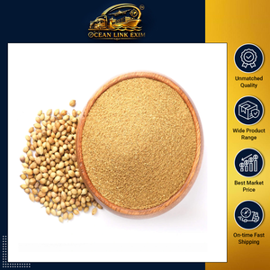 Poudre de coriandre de haute qualité, épice finement moulue pour la transformation alimentaire, la restauration, les cuisines et la distribution en gros - Product Image 2