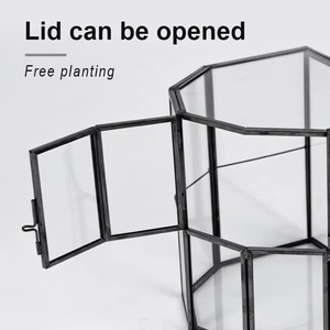 Terrarium en verre haut de gamme, décoration de table luxueuse pour la maison, le bureau, le café, l'entrée et l'aménagement intérieur moderne - Product Image 3